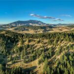 495 Moffit Gulch Road