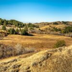 Bozeman MT 59715 - 3