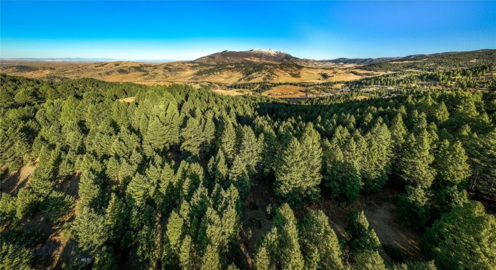 495 Moffit Gulch Road