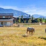 Bozeman MT 59718 - 25