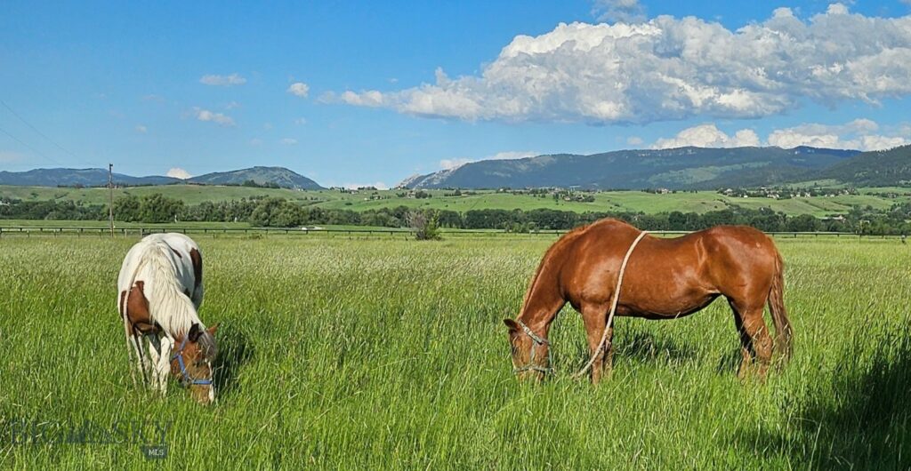 Bozeman MT 59715 - 11