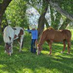 Bozeman MT 59715 - 17