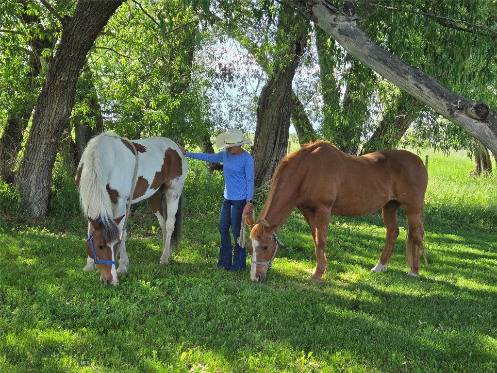 Bozeman MT 59715 - 17