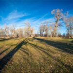 5044 Monforton School Road