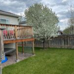 Belgrade MT 59714 - 22