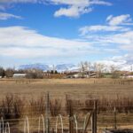 Bozeman MT 59718 - 22