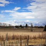 Bozeman MT 59718 - 23