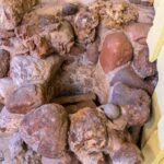 Bozeman MT 59715 - 17