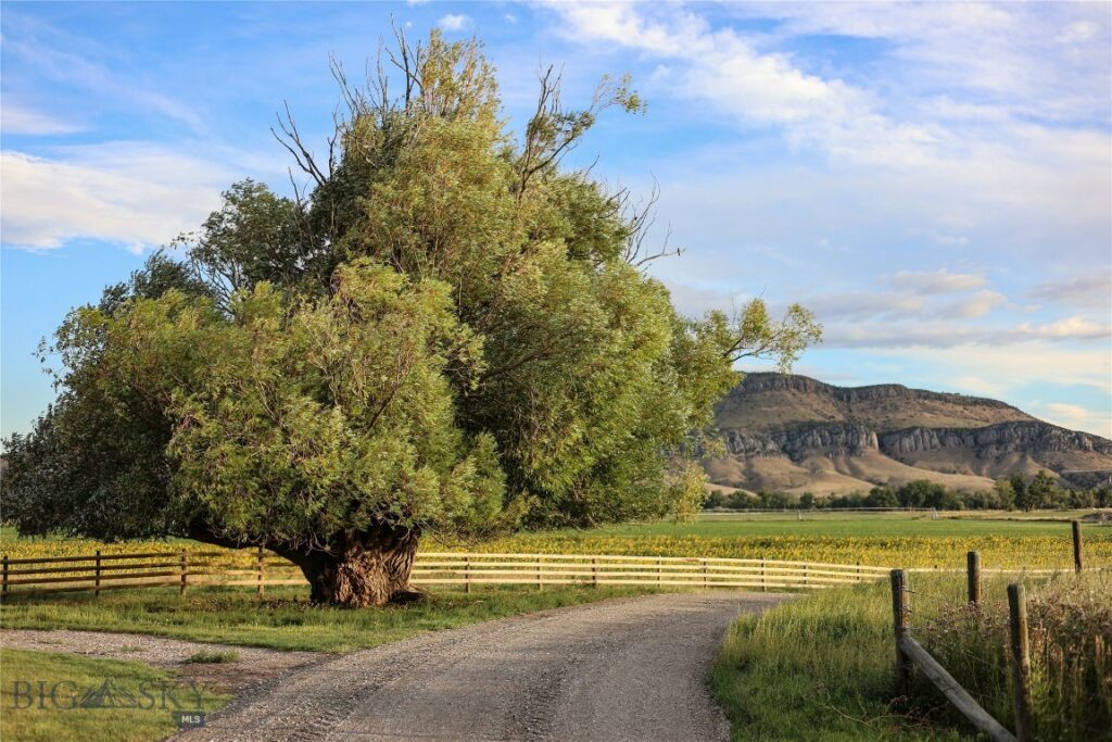 5191 Old Yellowstone Trail