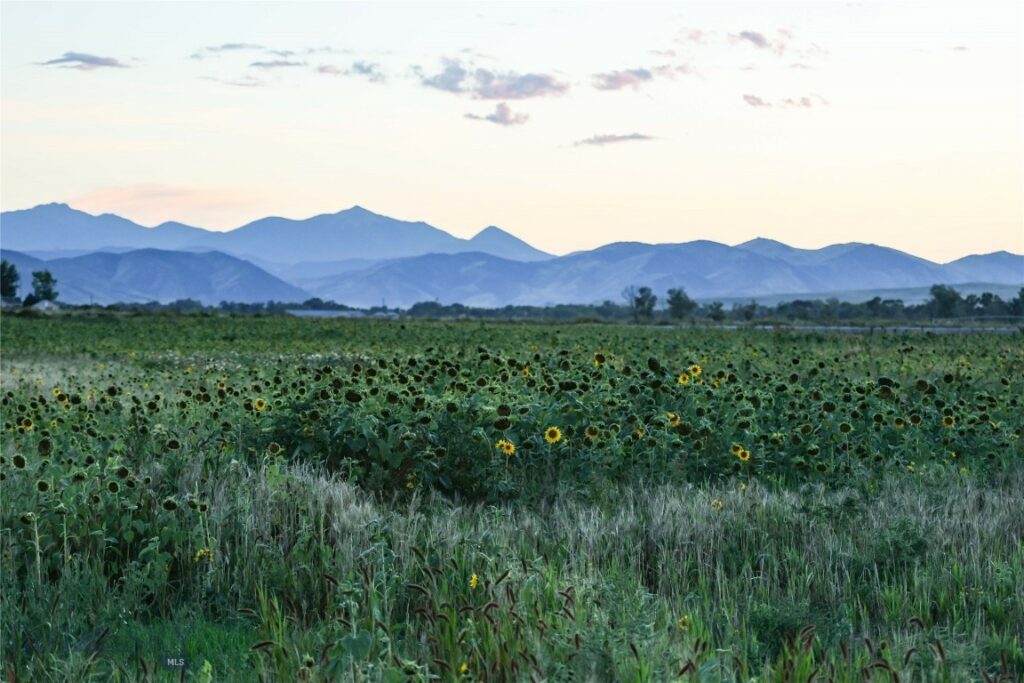 Three Forks MT 59752 - 11