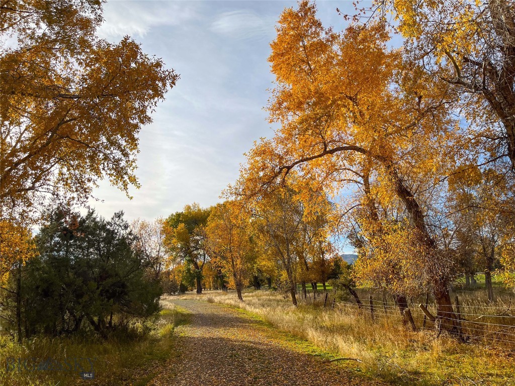 Three Forks MT 59752 - 15