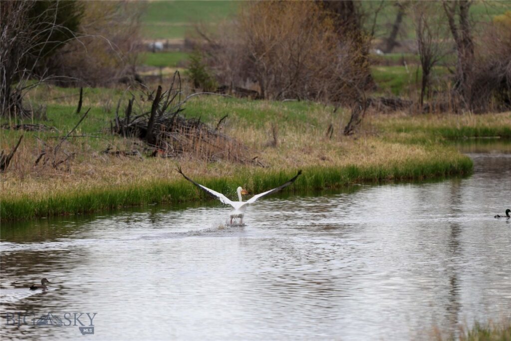 Three Forks MT 59752 - 2