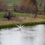 Three Forks MT 59752 - 2