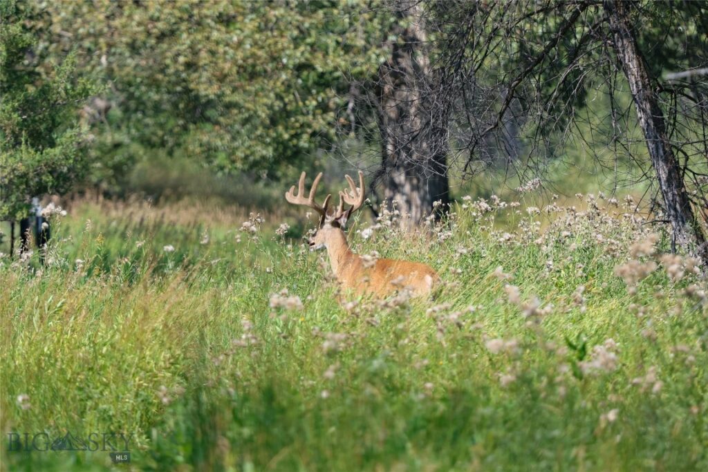 Three Forks MT 59752 - 5