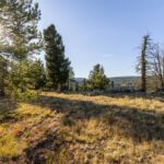 Big Sky MT 59716 - 9