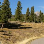 Big Sky MT 59716 - 2