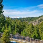 Bozeman MT 59715 - 24