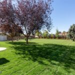 53 Walking Horse Way