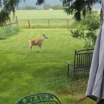 Belgrade MT 59714 - 16