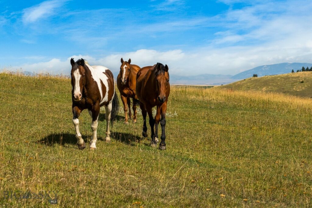 Bozeman MT 59715 - 12