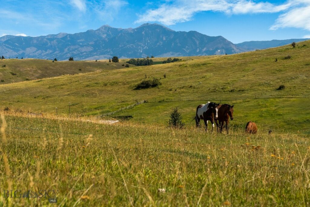 Bozeman MT 59715 - 15