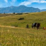 Bozeman MT 59715 - 15