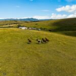 Bozeman MT 59715 - 17