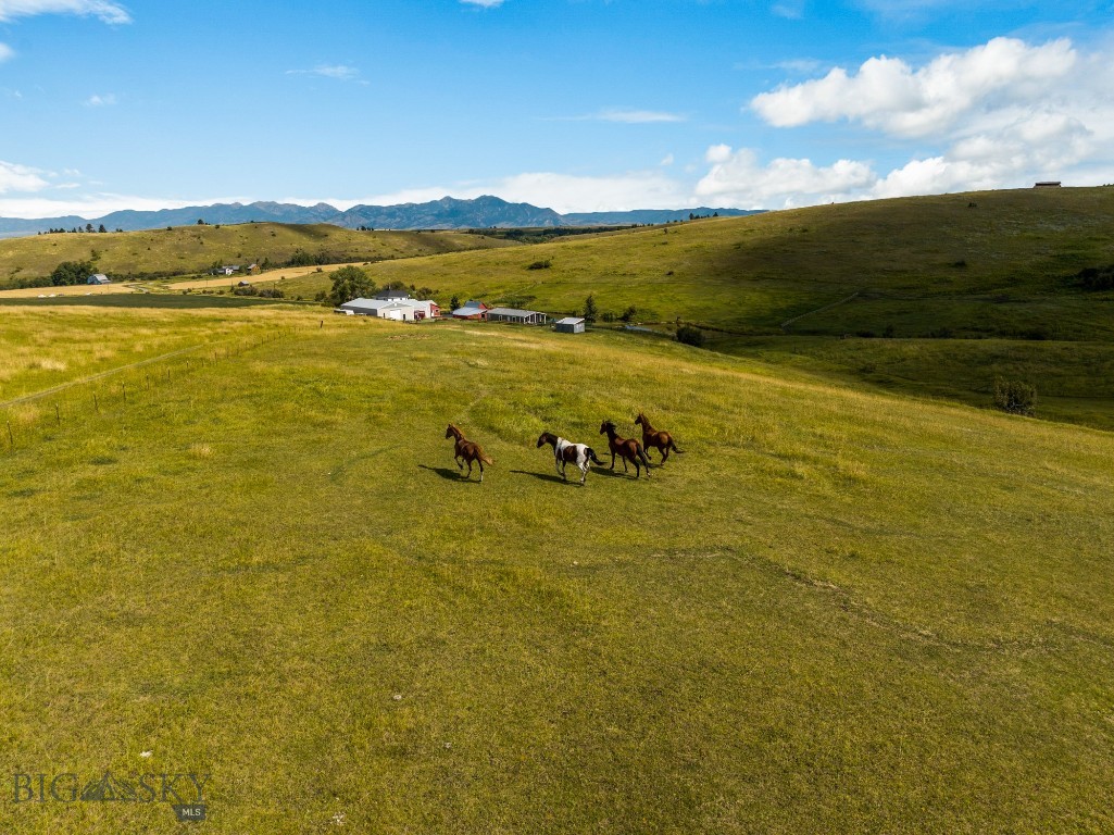 Bozeman MT 59715 - 17