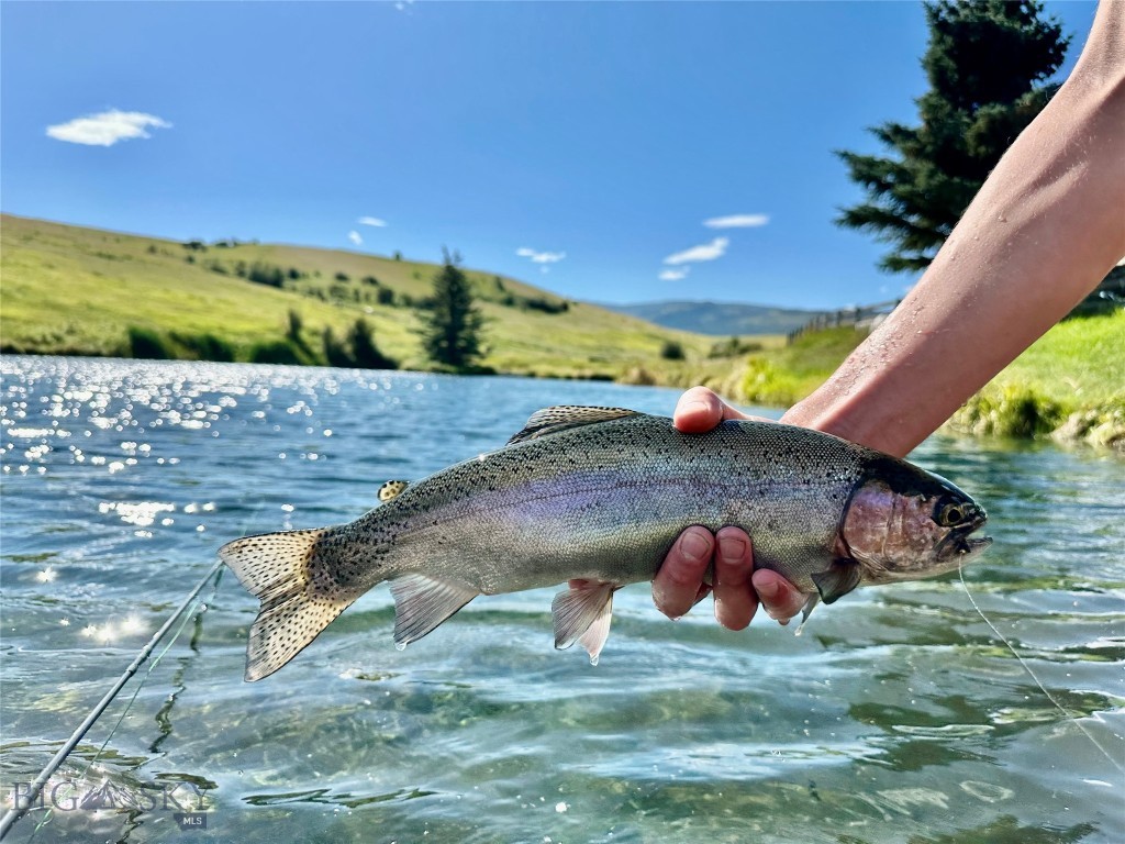 Bozeman MT 59715 - 21
