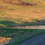 Bozeman MT 59715 - 22