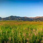 Bozeman MT 59715 - 5