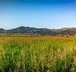 Bozeman MT 59715 - 10