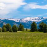 Bozeman MT 59718 - 3