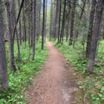Big Sky MT 59716 - 21