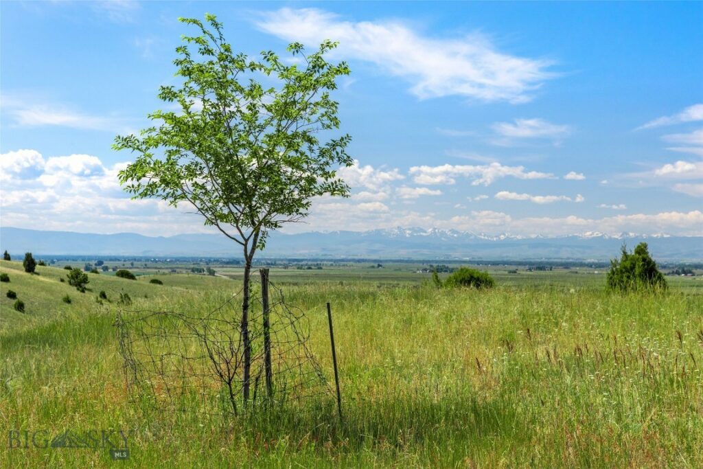 Belgrade MT 59714 - 19