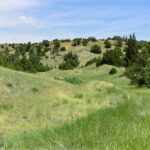 5835 Spaulding Bridge Road