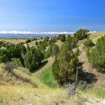 5835 Spaulding Bridge Road