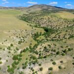 Belgrade MT 59714 - 9