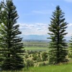 Belgrade MT 59714 - 18