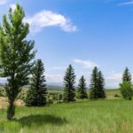 5835 Spaulding Bridge Road