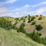 Belgrade MT 59714 - 20