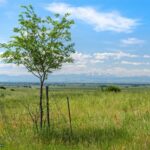 5835 Spaulding Bridge Road