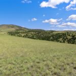 Belgrade MT 59714 - 16