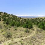 5835 Spaulding Bridge Road