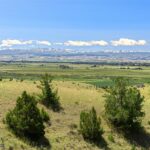 Belgrade MT 59714 - 18