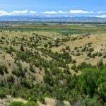 Belgrade MT 59714 - 19