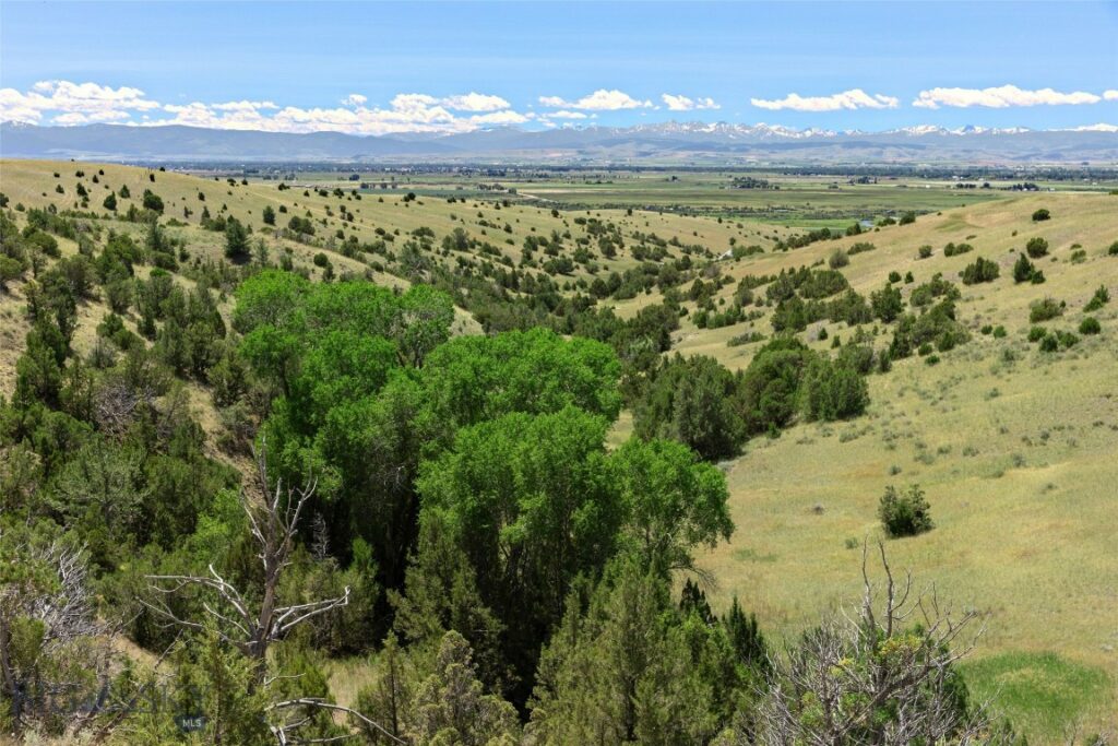 5835 Spaulding Bridge Road