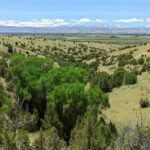 5835 Spaulding Bridge Road