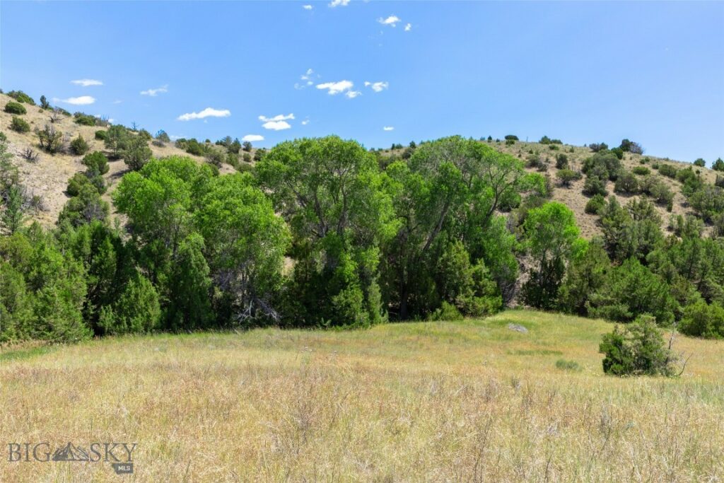 Belgrade MT 59714 - 20