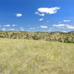 Belgrade MT 59714 - 21